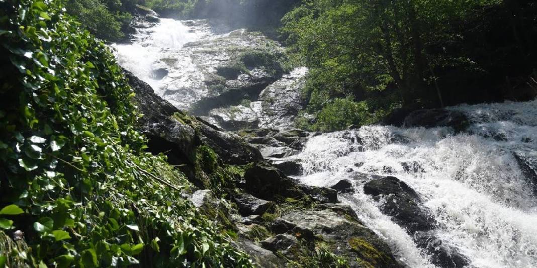 Kendinizi doğanın kucağına bırakmaya hazır mısınız? Giden dönmek istemiyor: Doğal serinliğin adresi 2